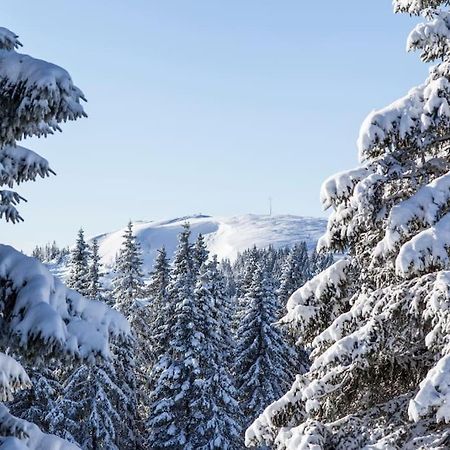 Waldtwin 2 Titisee ภายนอก รูปภาพ