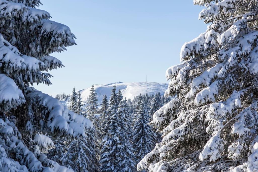 Waldtwin 2 Titisee ภายนอก รูปภาพ