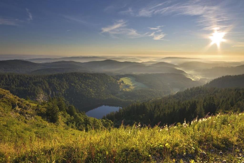 Waldtwin 2 Titisee ภายนอก รูปภาพ