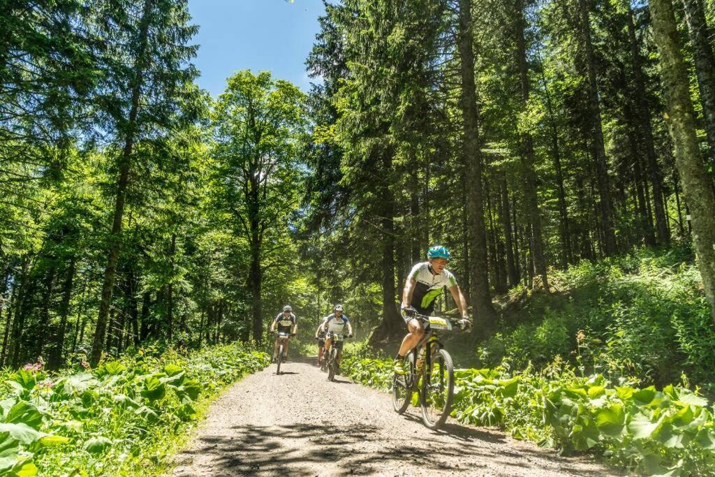 Waldtwin 2 Titisee ภายนอก รูปภาพ